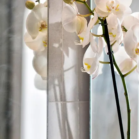 Chezmoihomes Duplex Penthouse With Swimming Pool 빌라 라 에라두라